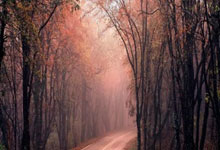 前经纪人:国米曾想签下梅西但他不想离开巴萨 相信他会回纽维尔.