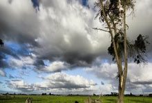 归化选手为中国拿金牌 背后应是盘大棋.