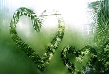 [棋牌]韩媒体：申真谞朴廷桓出征上海 韩国队冲击农心杯.