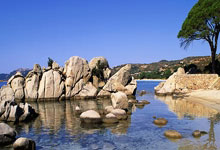 巅峰国际官网:巴西前国脚高乔:当我说我踢球比C罗好时,很多人说我疯了.